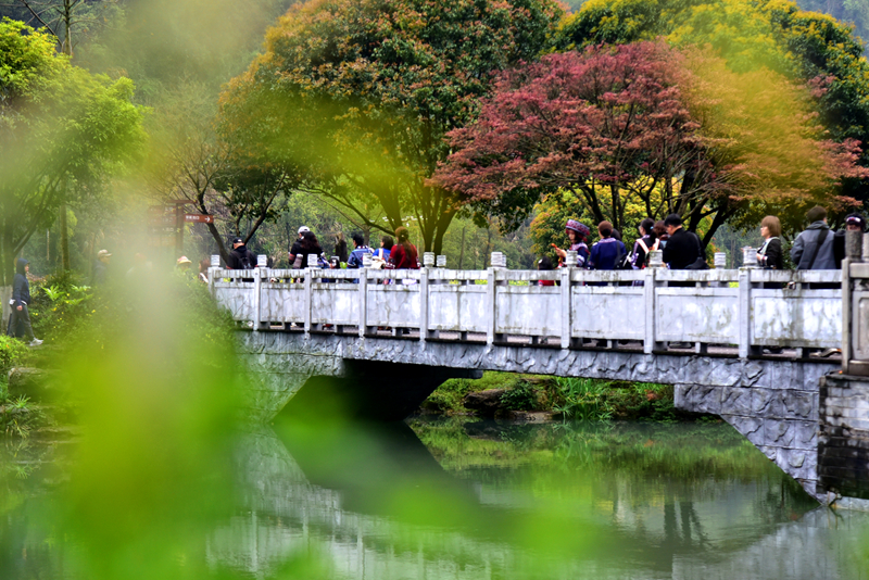 清明游玩黃龍洞，不負(fù)滿園好春光（組圖）